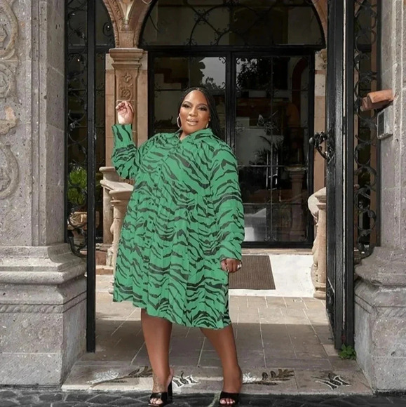 PLUS size button shirt dress - Picture 1 of 3